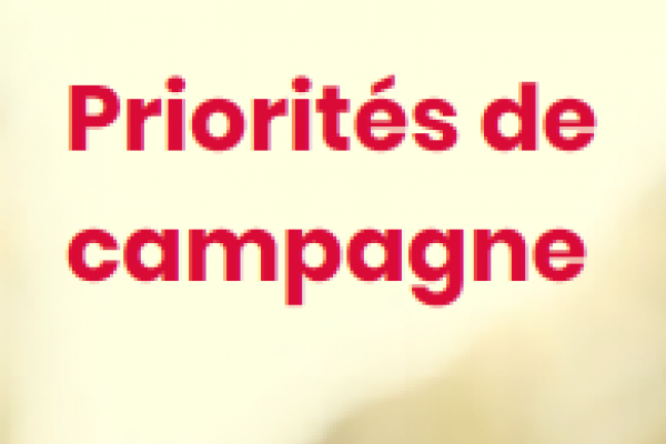 Priorités de campagne -  RHN de l'ONU de 2018 sur les MNT 